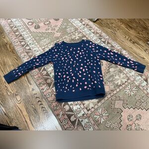 J. Crew Sweatershirt